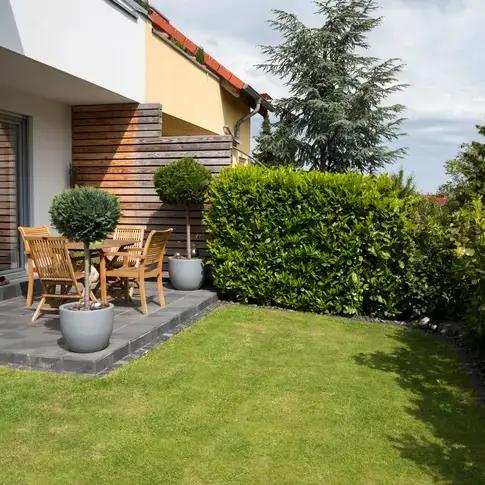abattage d'arbre Bruz-5